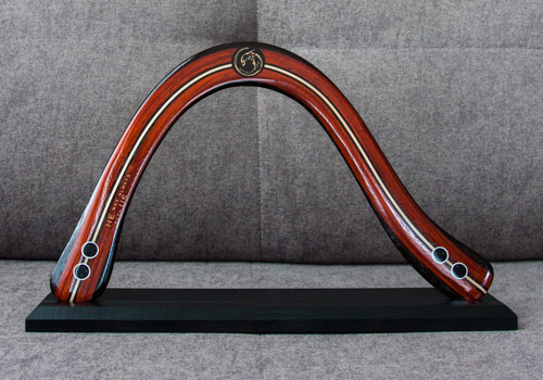 Бумеранг Hook, модель HOK-N53-Alien